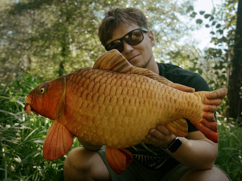 Delphin Carpy Plüss Ponty 