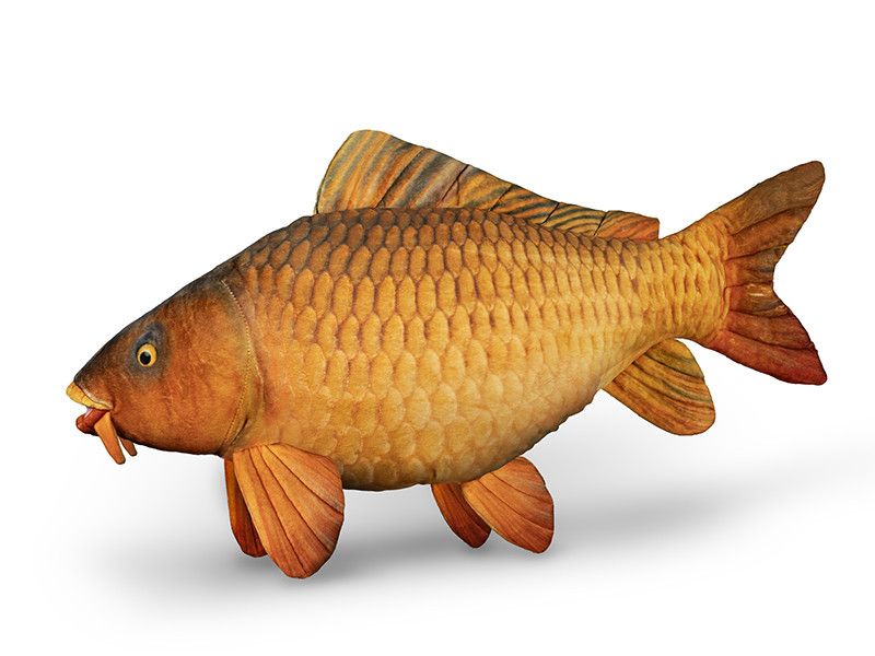 Delphin Carpy Plüss Ponty 